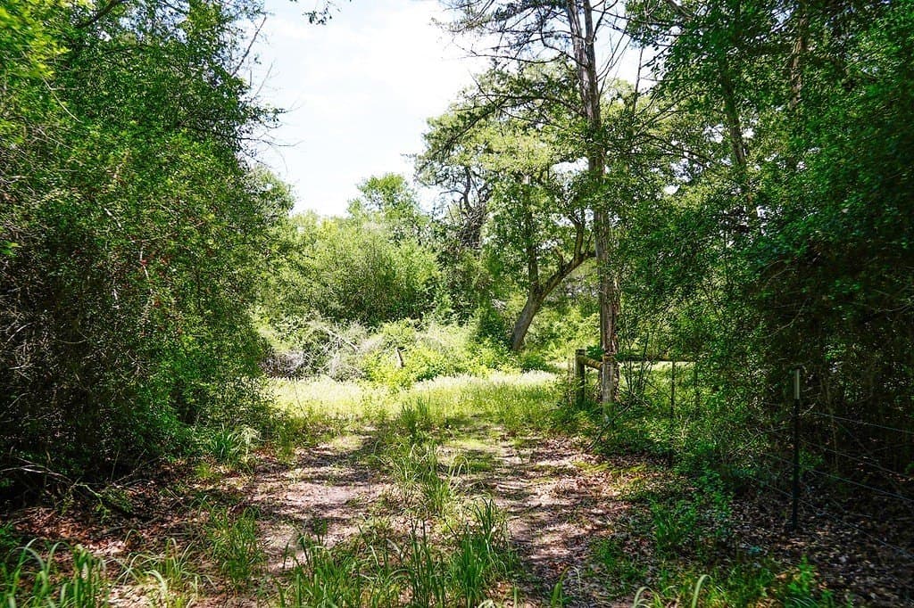 40 acres in Fayette County - photo 24