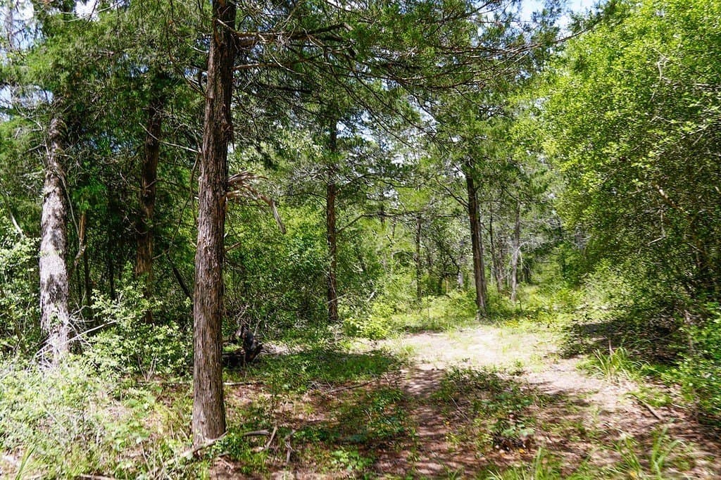 40 acres in Fayette County - photo 18