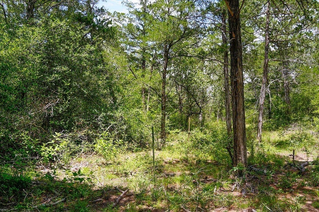 40 acres in Fayette County - photo 17