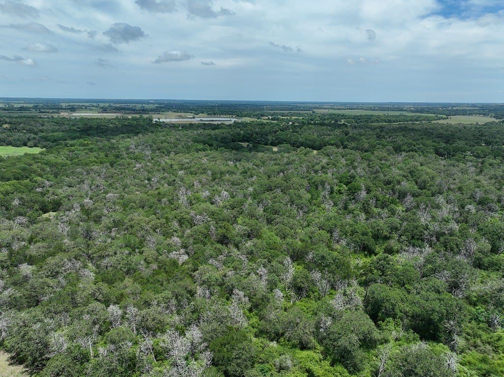 40 acres in Fayette County - photo 2