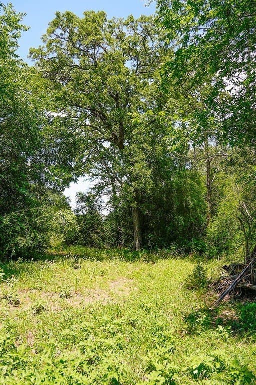 40 acres in Fayette County - photo 8