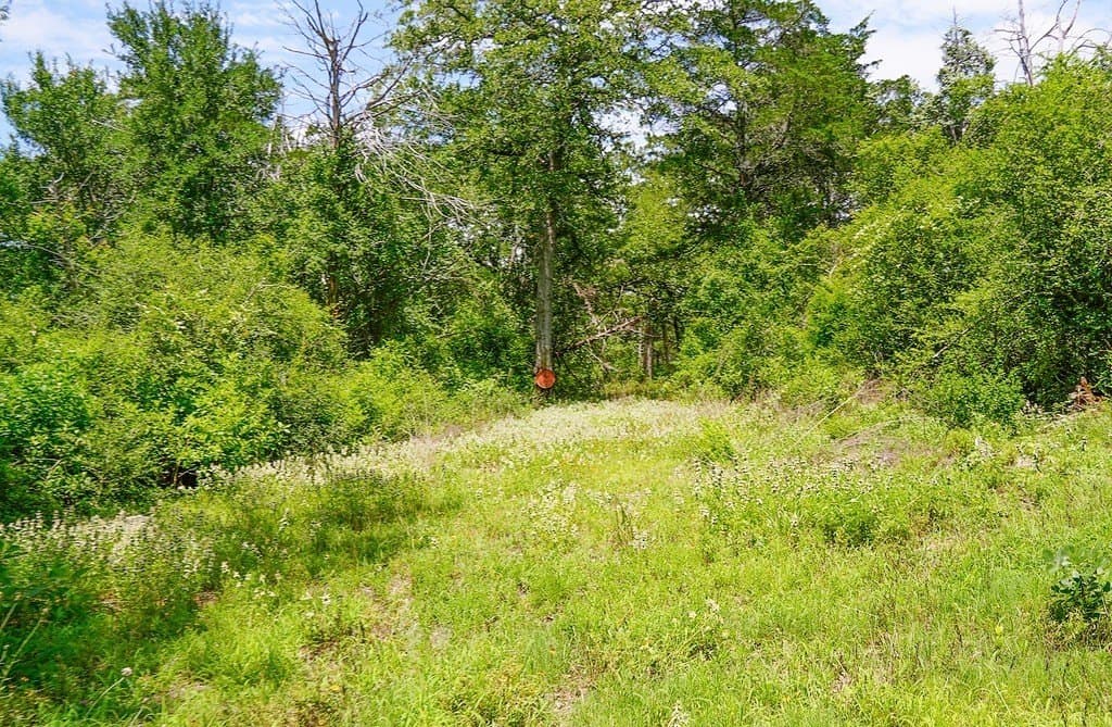 40 acres in Fayette County - photo 21