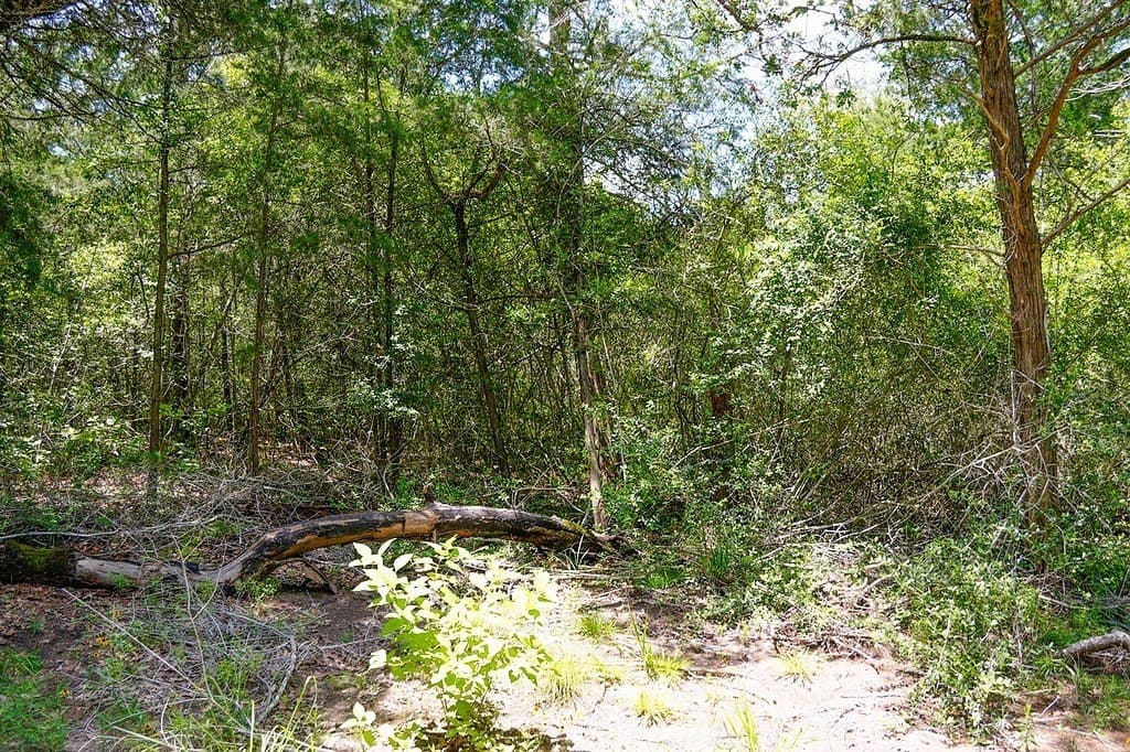 40 acres in Fayette County - photo 14