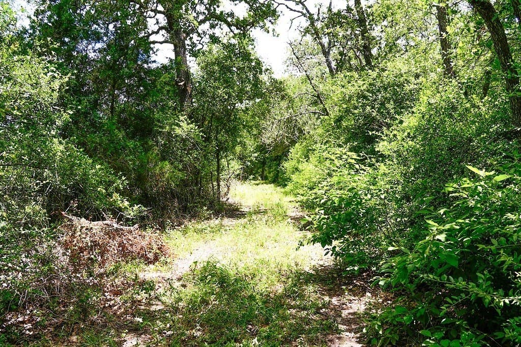 40 acres in Fayette County - photo 28