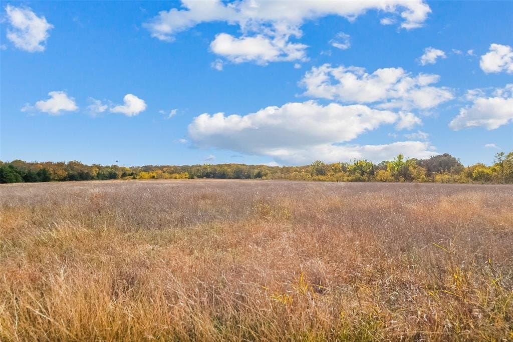 27.36 acres in Fannin County - photo 16
