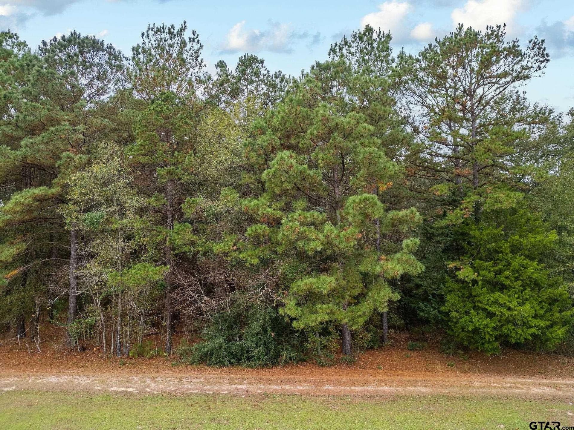 16.88 acres in Upshur County - photo 2