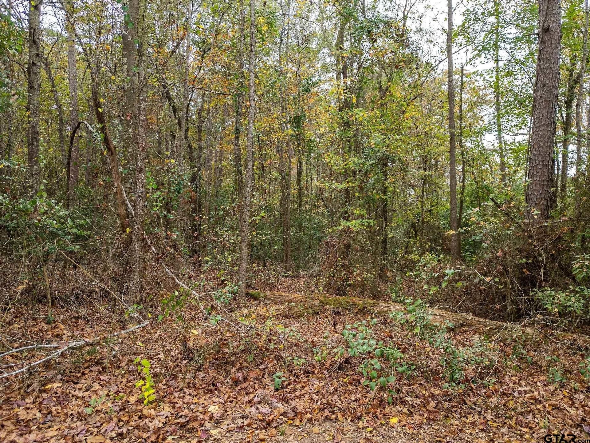 16.88 acres in Upshur County - photo 3