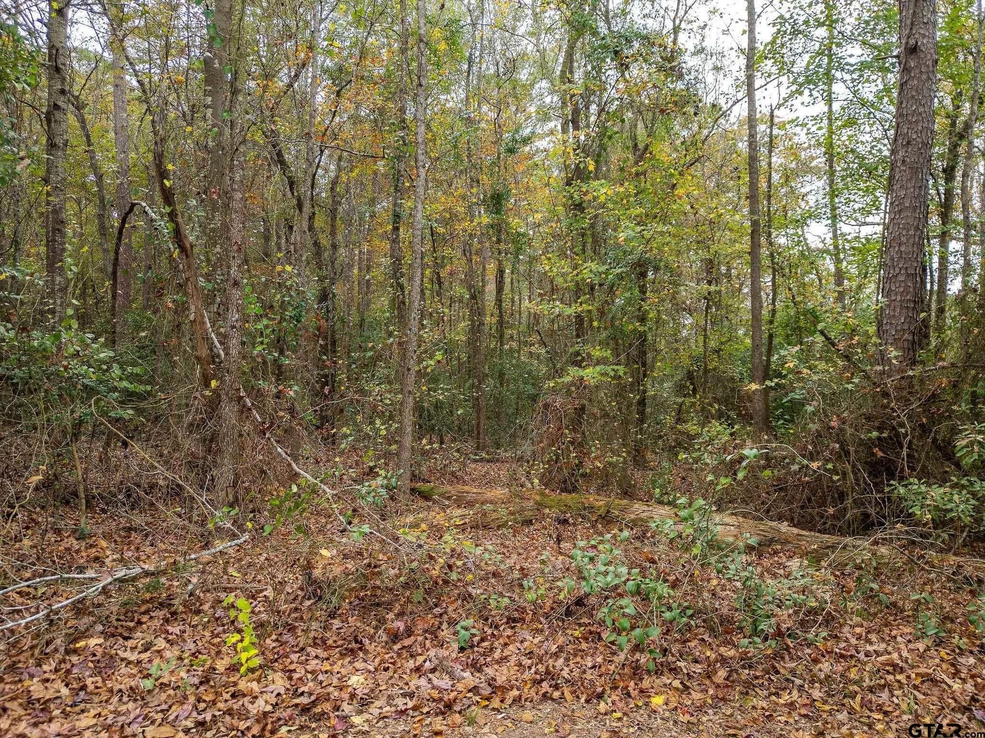16.88 acres in Upshur County - photo 4