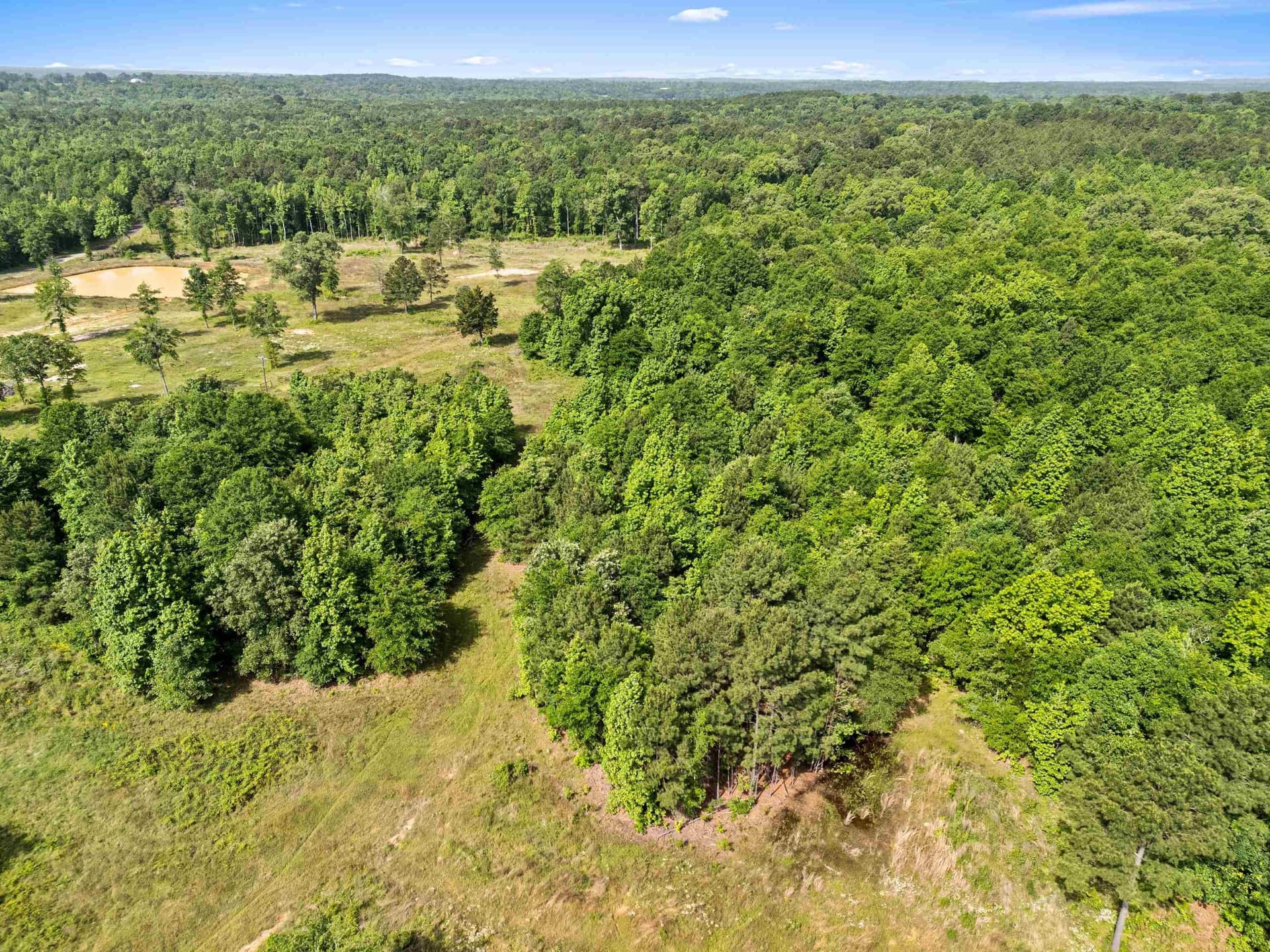 64.34 acres in Texas County - photo 15