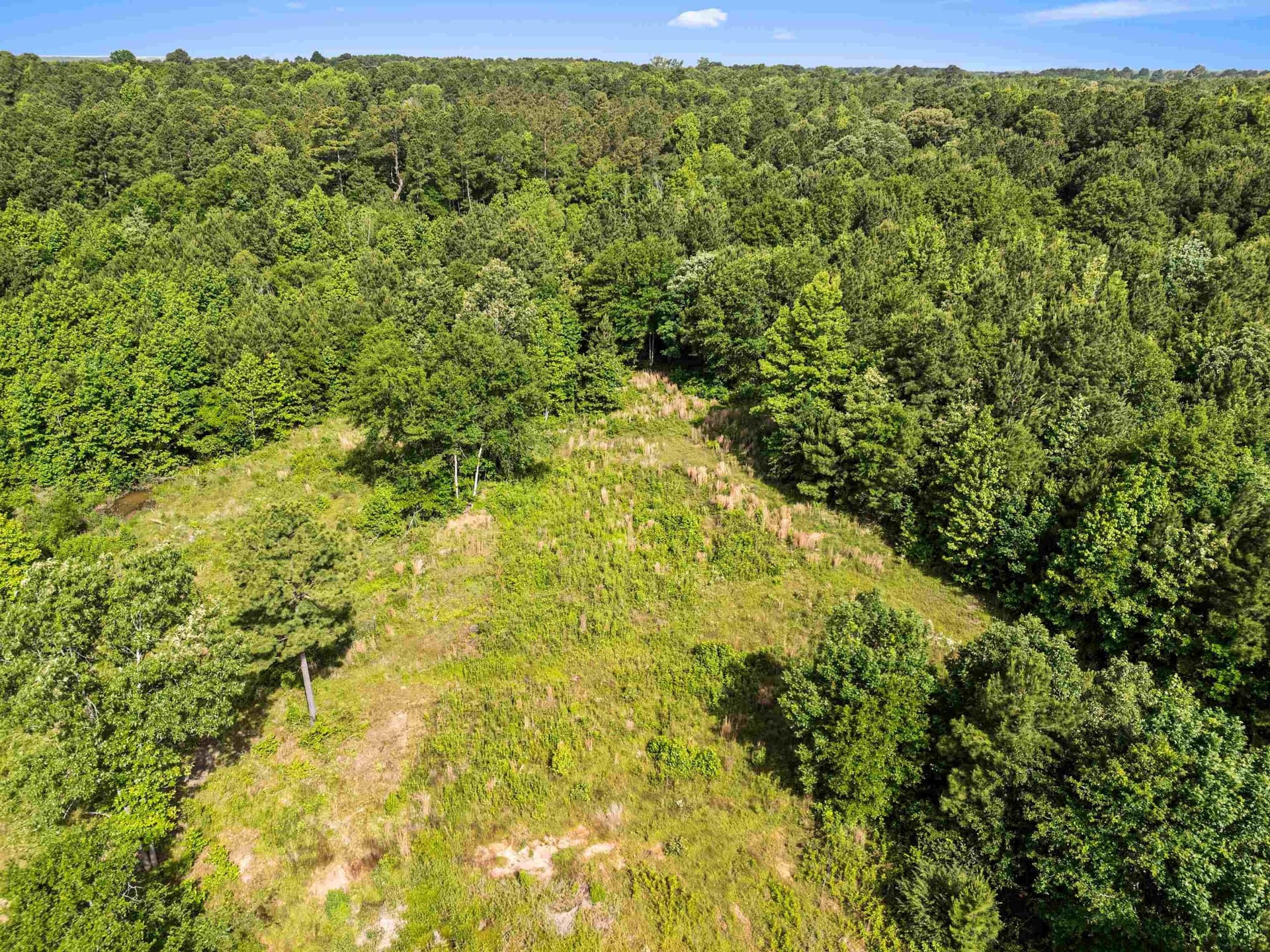 64.34 acres in Texas County - photo 12