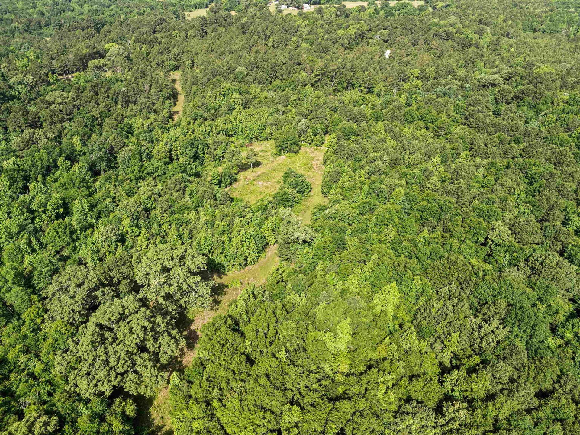 64.34 acres in Texas County - photo 11