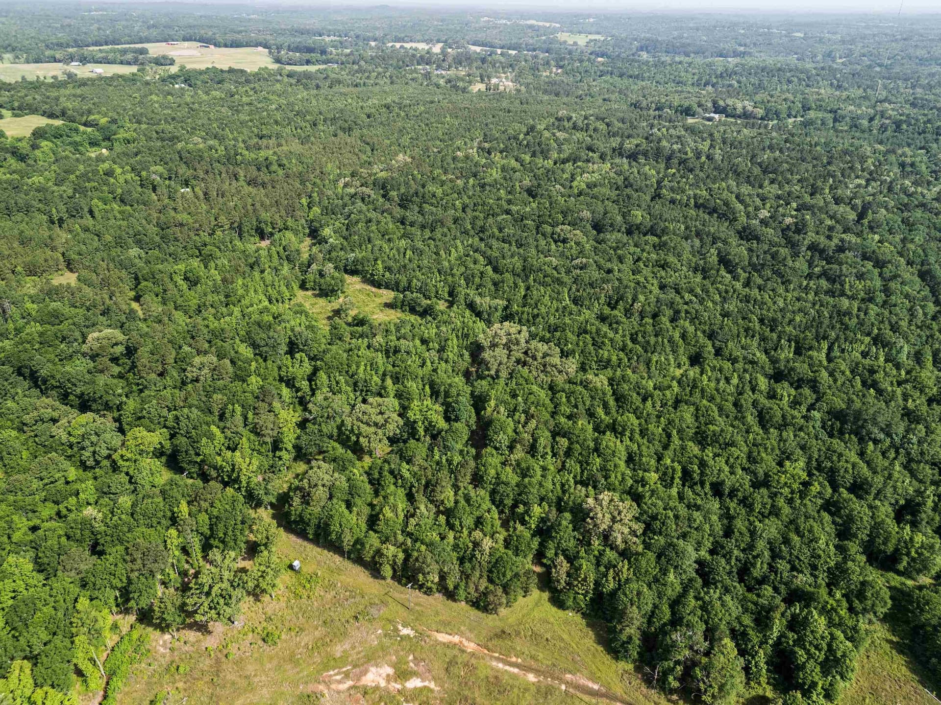 64.34 acres in Texas County - photo 8