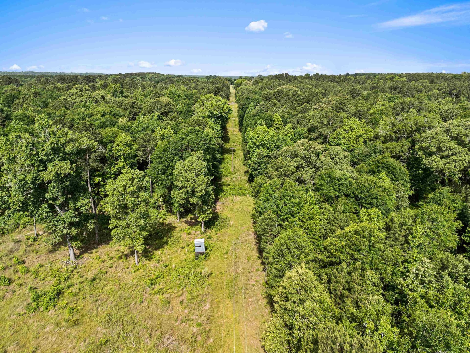 64.34 acres in Texas County - photo 10