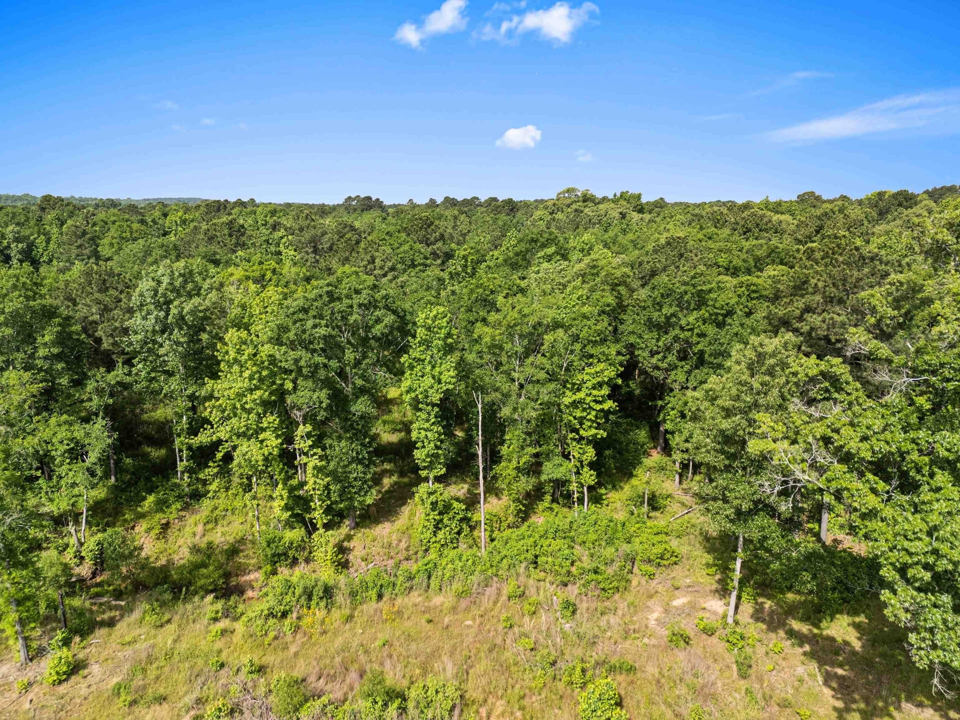 64.34 acres in Texas County - photo 14