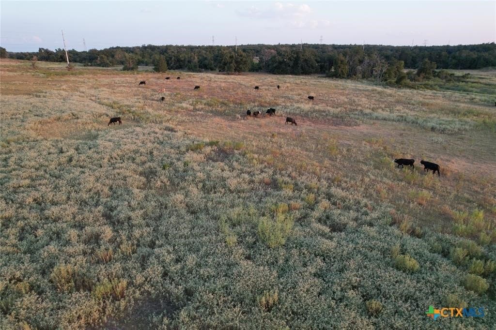 20 acres in Milam County - photo 7