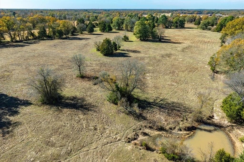 30.7 acres in Wood County - photo 16
