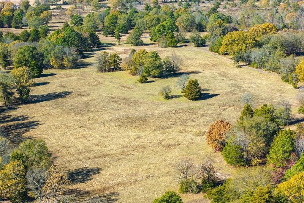 30.7 acres in Wood County - photo 13