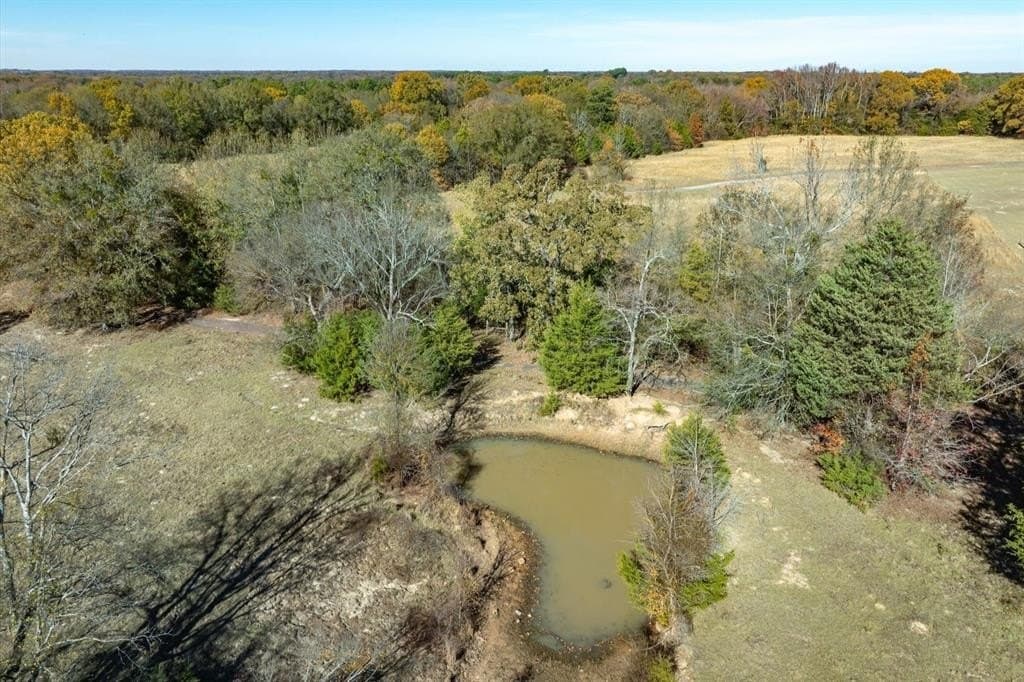30.7 acres in Wood County - photo 4