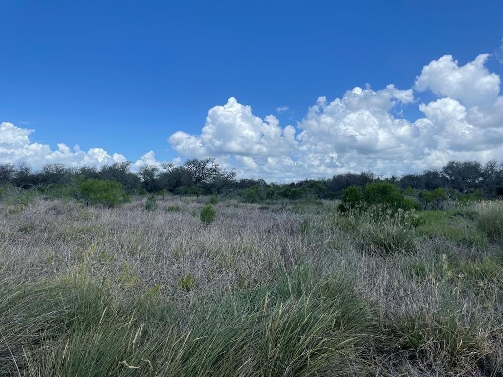 12.35 acres in Texas County - photo 5