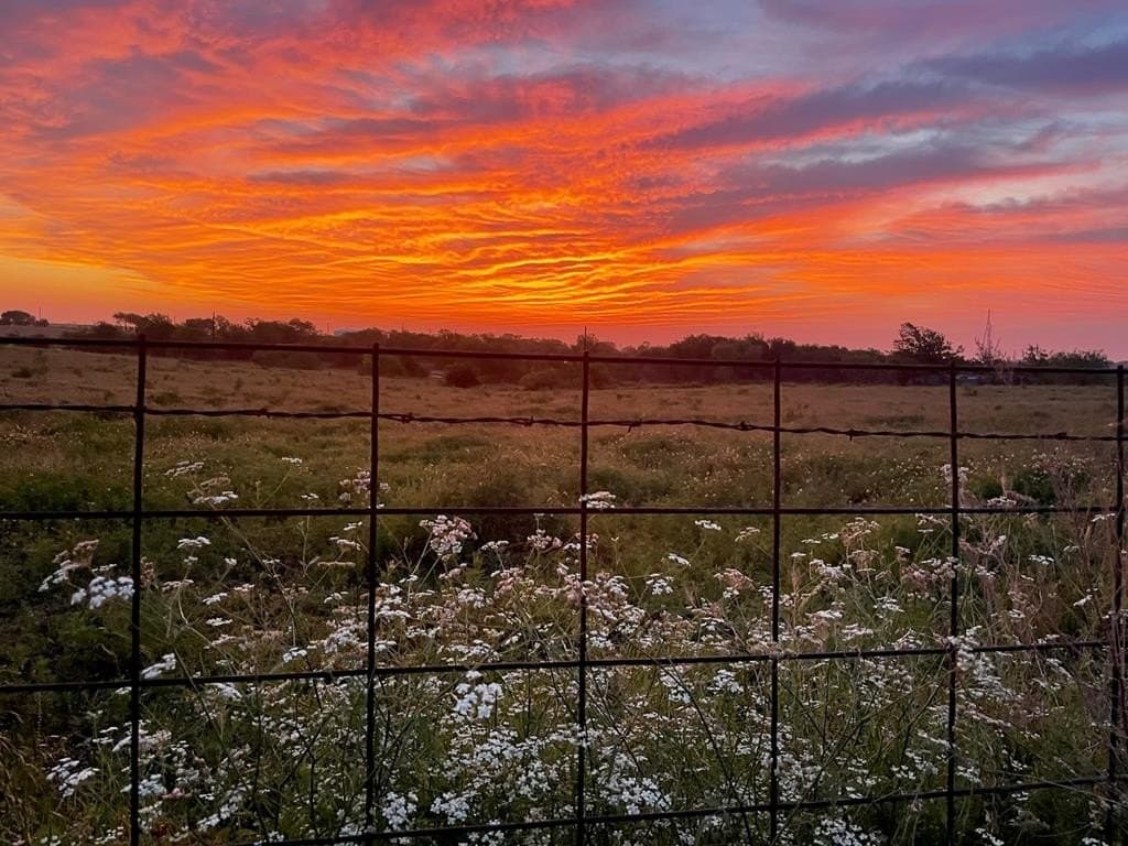 30 acres in Kaufman County - photo 49