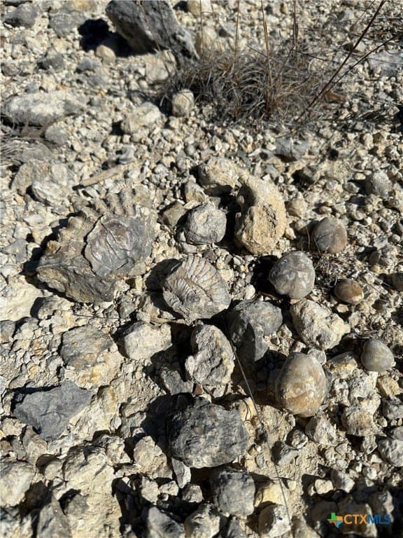 79.79 acres in Coryell County - photo 7