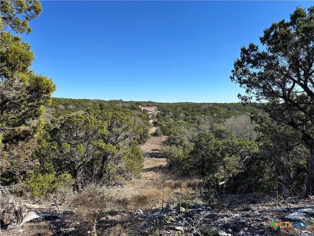79.79 acres in Coryell County - photo 6