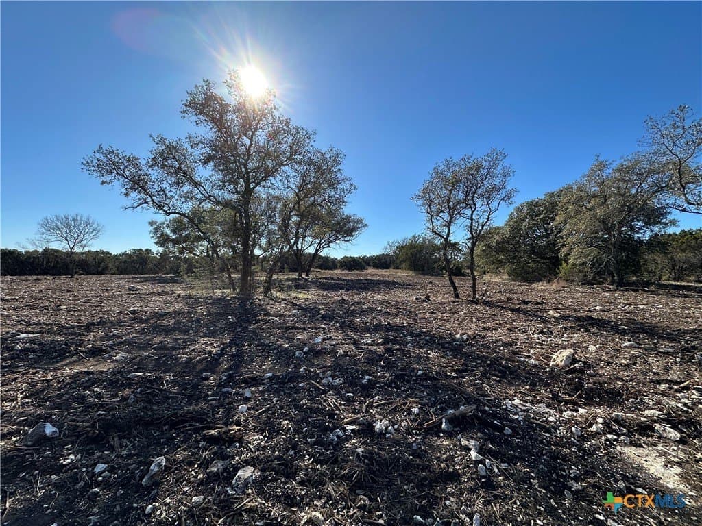 79.79 acres in Coryell County - photo 13