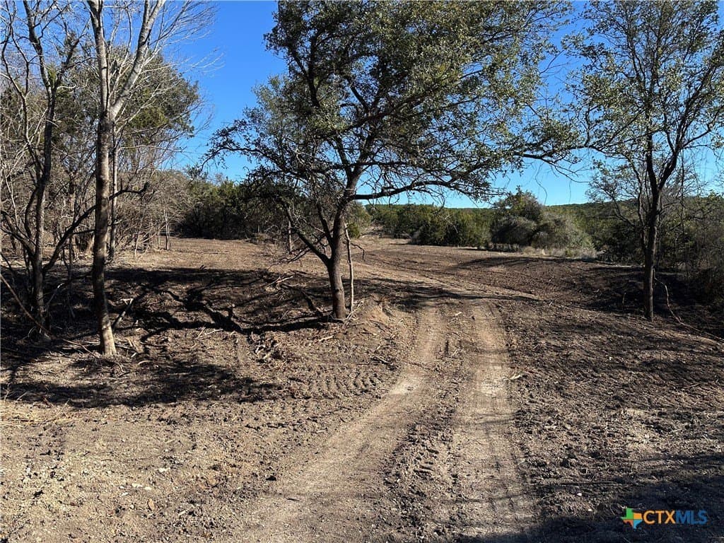 79.79 acres in Coryell County - photo 9