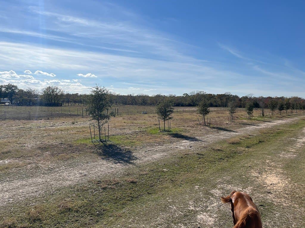 41.26 acres in Fort Bend County - photo 6