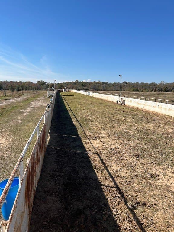 41.26 acres in Fort Bend County - photo 4