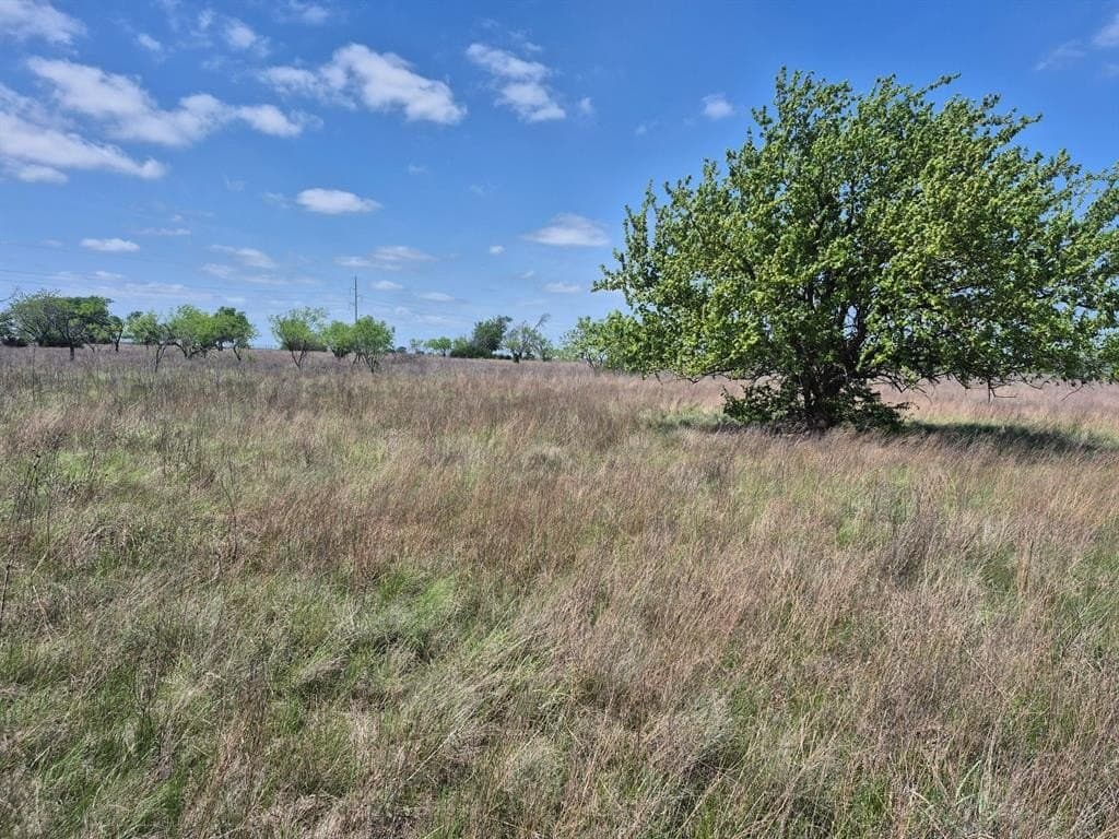 10.01 acres in Hamilton County - photo 17