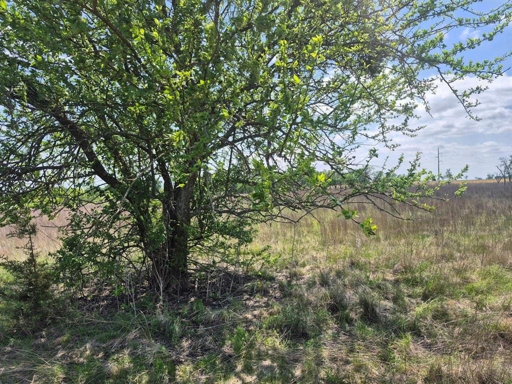 10.01 acres in Hamilton County - photo 5