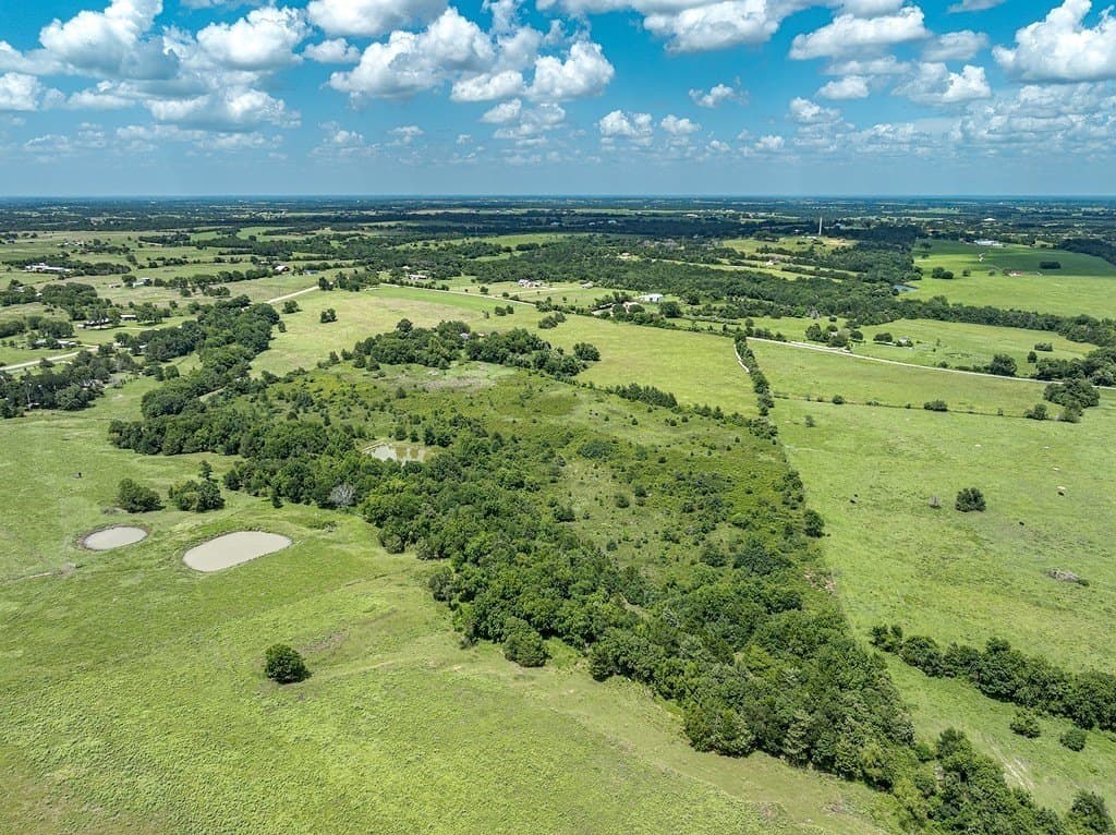 20 acres in Austin County - photo 5
