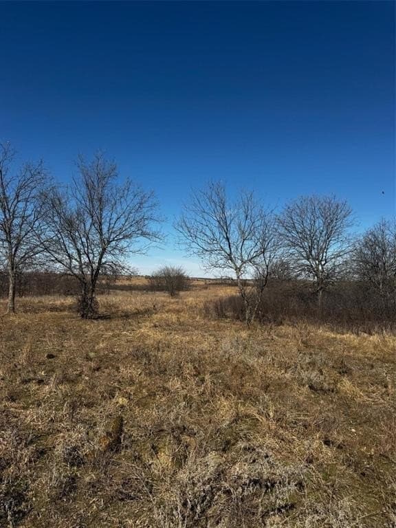 155 acres in Wise County - photo 7