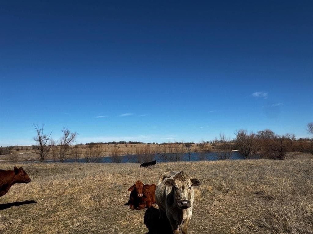 155 acres in Wise County - photo 4