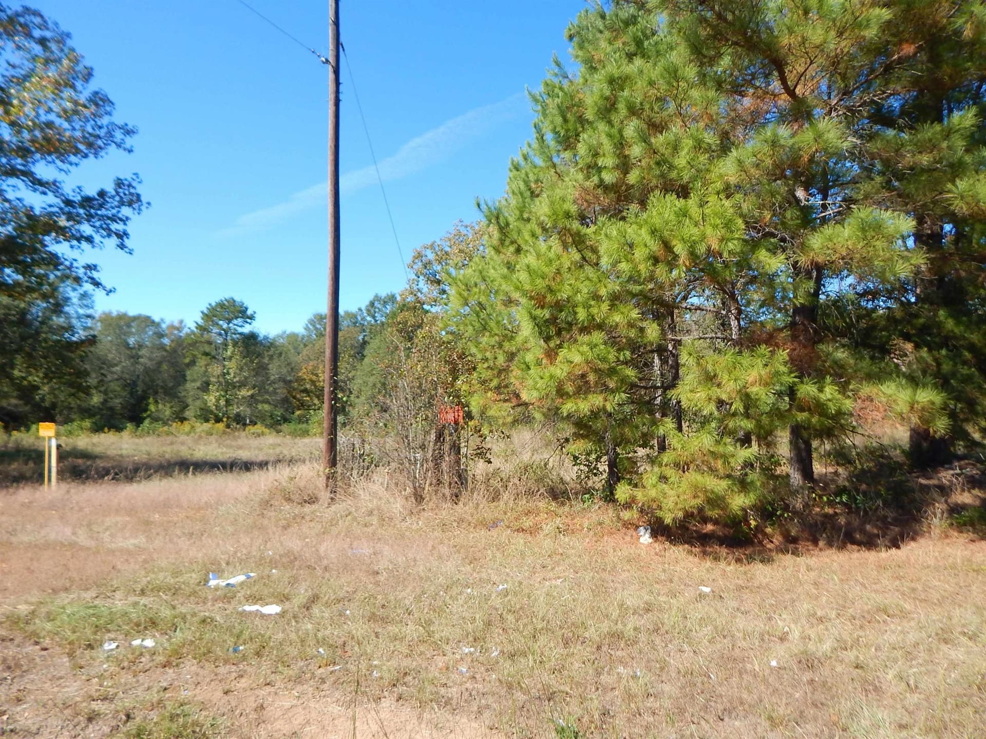 0.5 acres in Upshur County - photo 6
