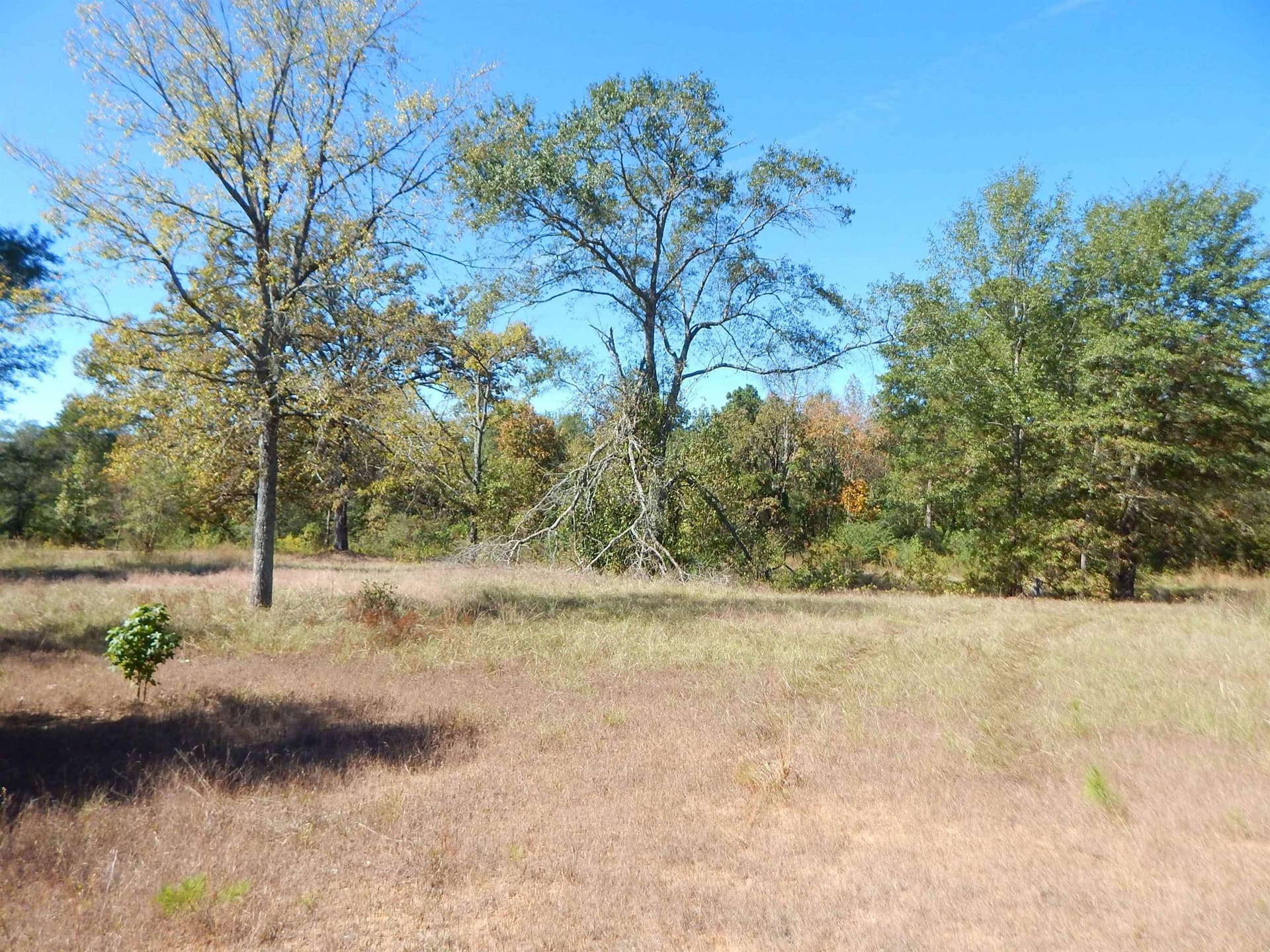 0.5 acres in Upshur County - photo 2