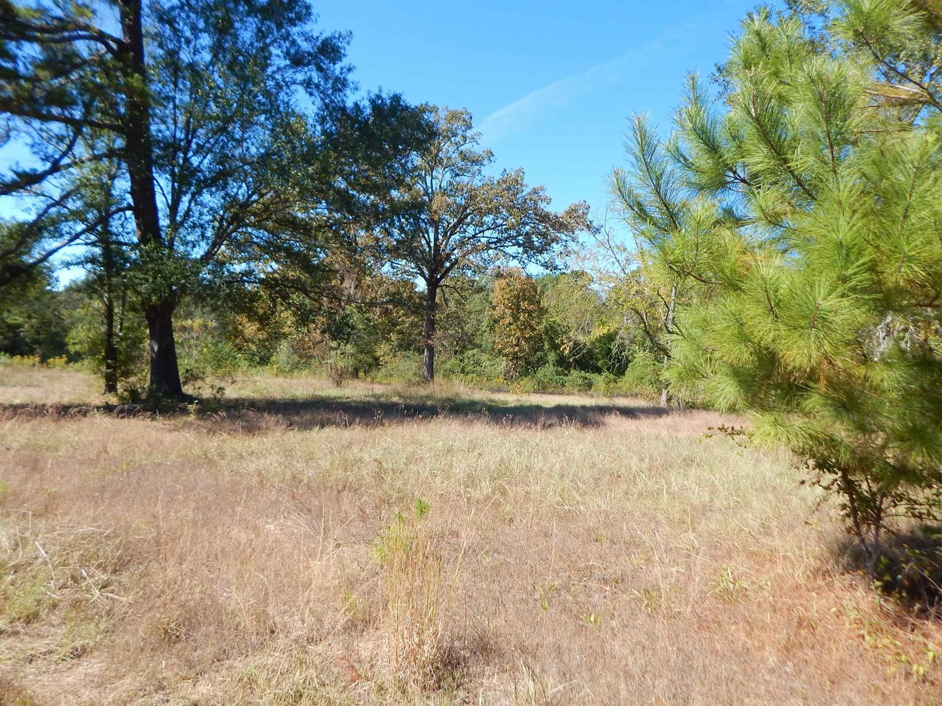 0.5 acres in Upshur County - photo 3