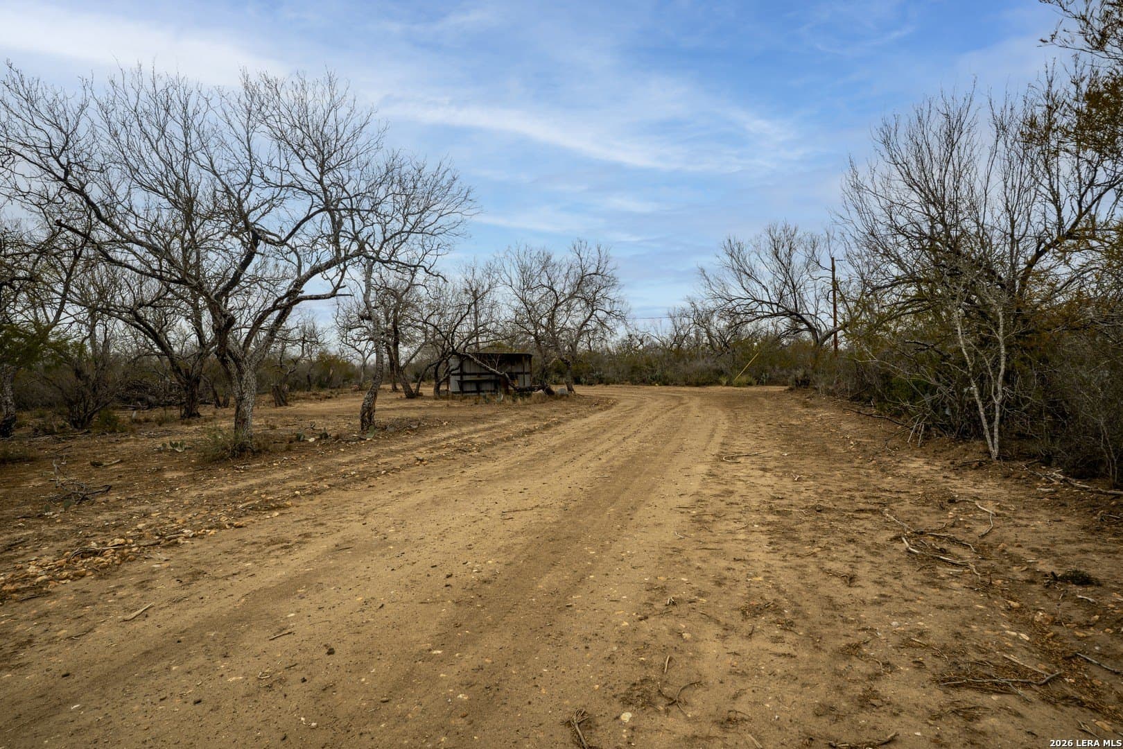 22.19 acres in Frio County - photo 4