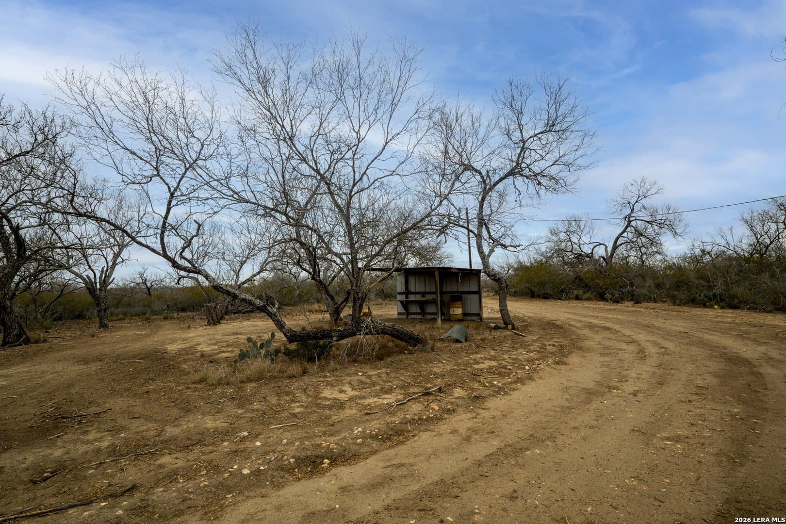 22.19 acres in Frio County - photo 9