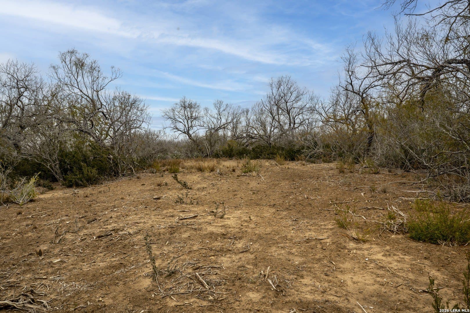22.19 acres in Frio County - photo 5