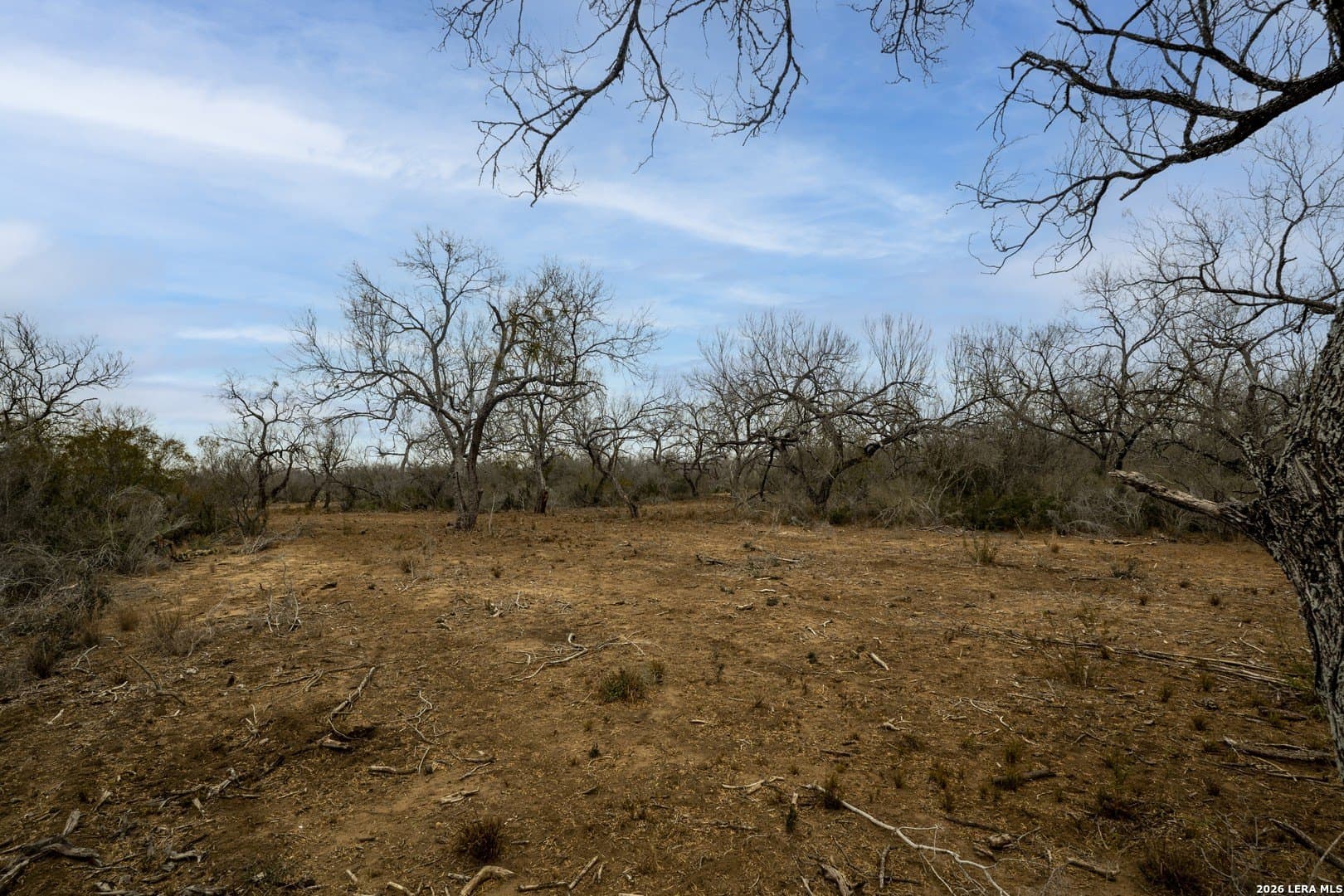 22.19 acres in Frio County - photo 3