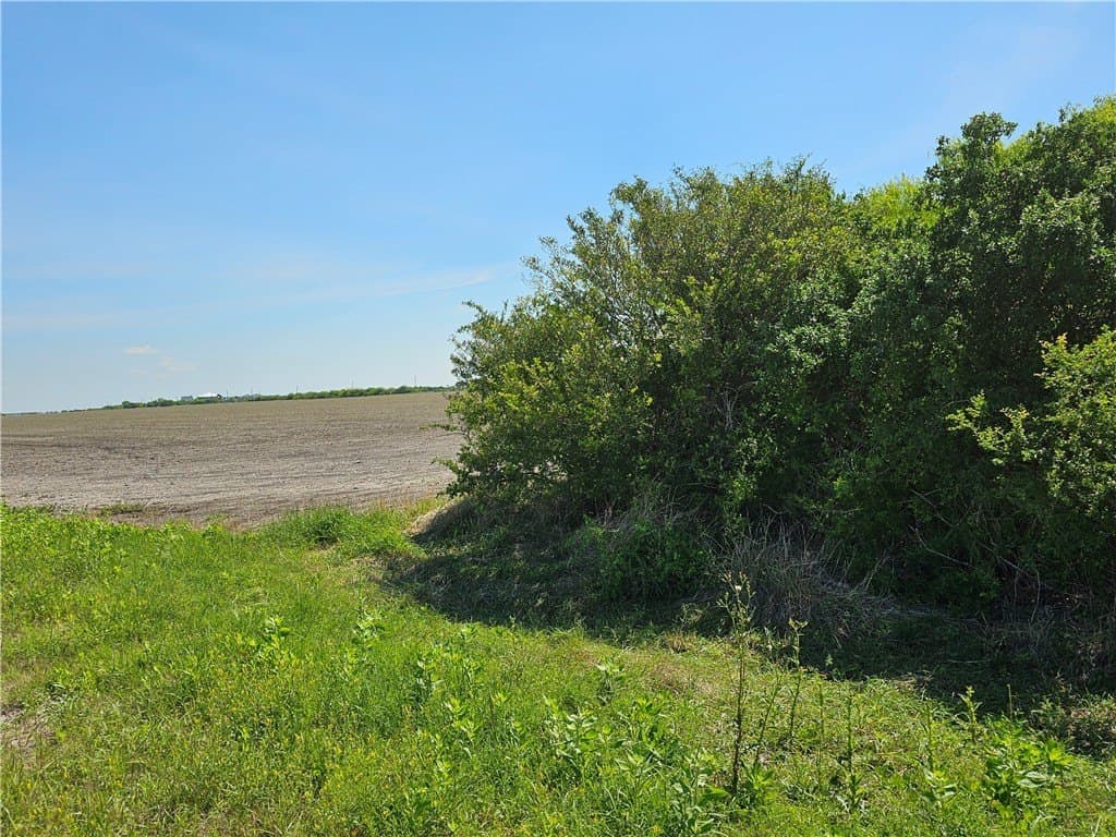 0 acres in Refugio County - photo 3