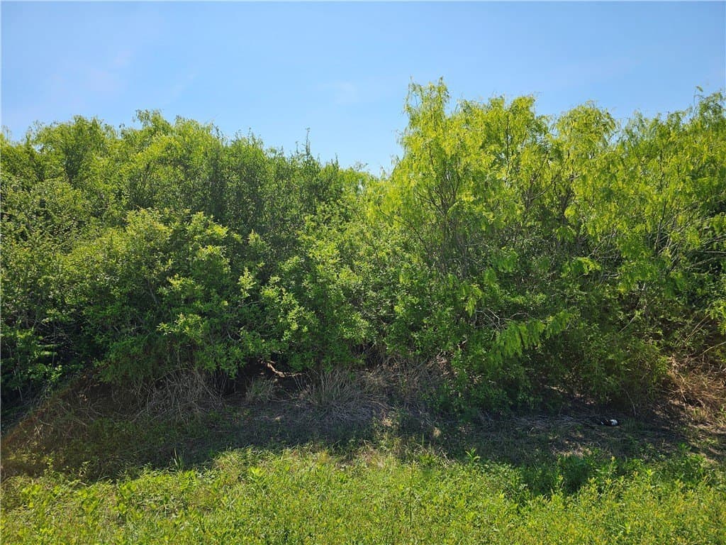 2106 Third Street lot: 11