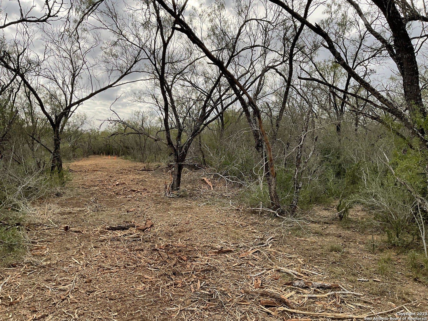 1.34 acres in Atascosa County - photo 14
