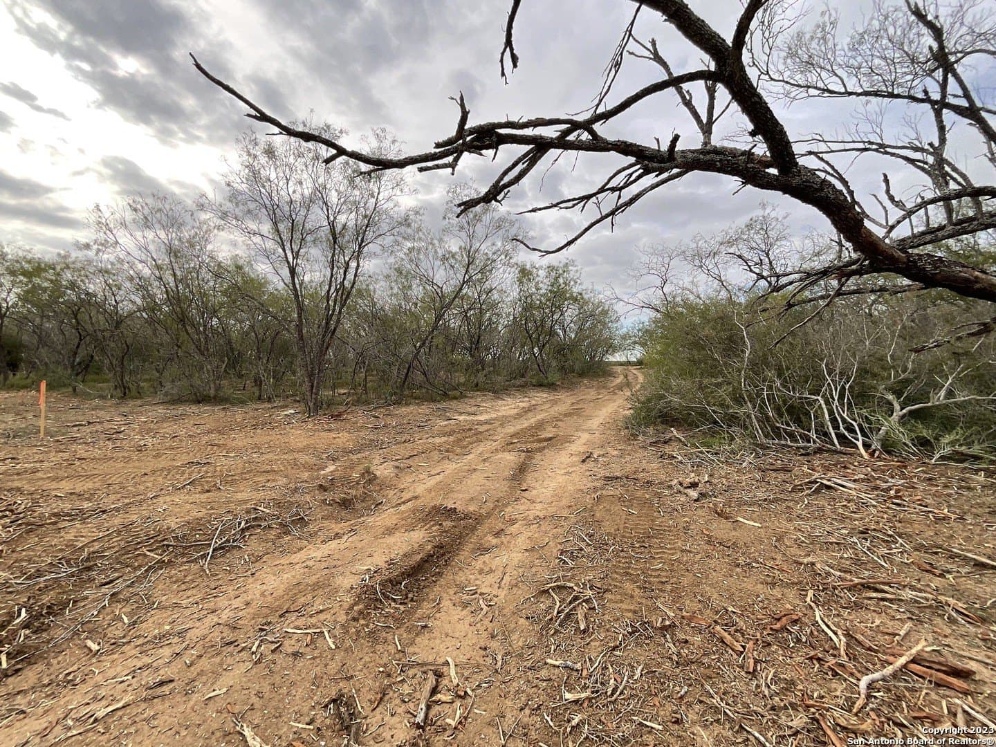 1.34 acres in Atascosa County - photo 16