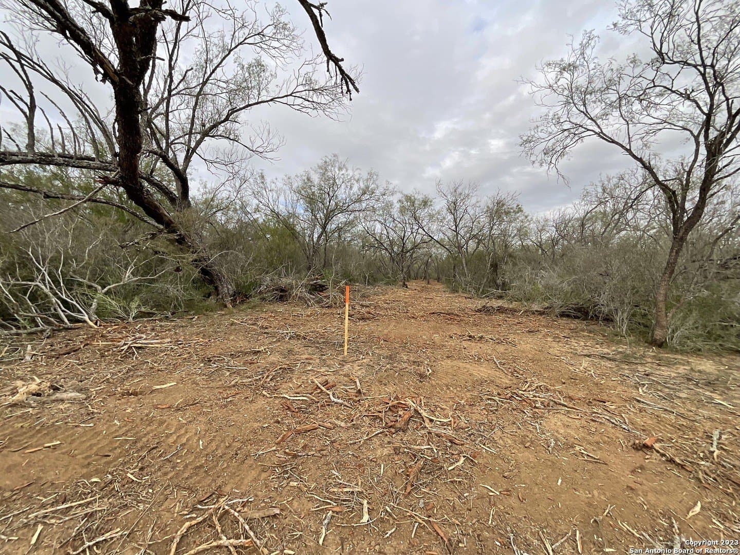 1.34 acres in Atascosa County - photo 11