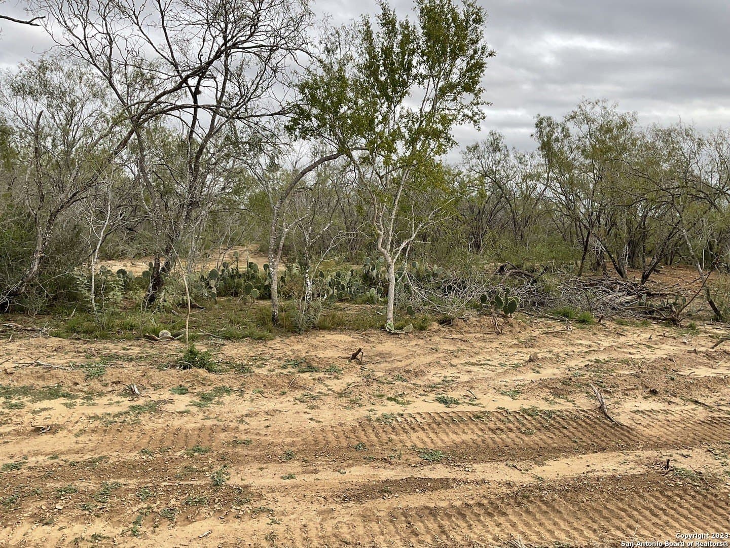 1.34 acres in Atascosa County - photo 3