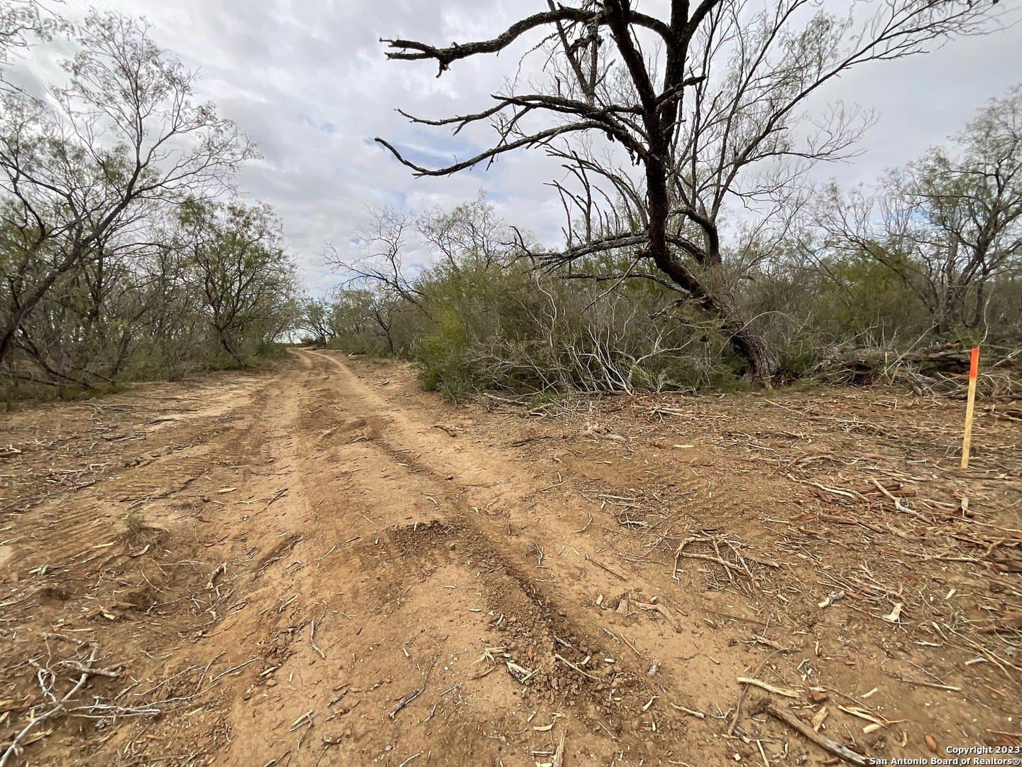 1.34 acres in Atascosa County - photo 10