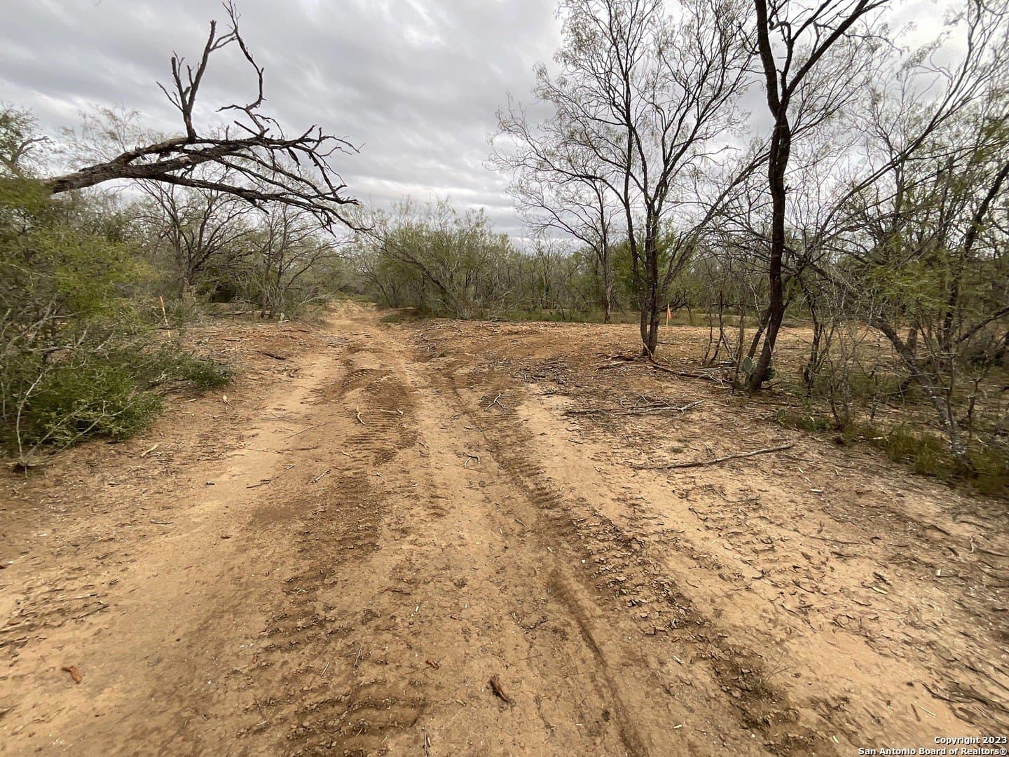 1.34 acres in Atascosa County - photo 9